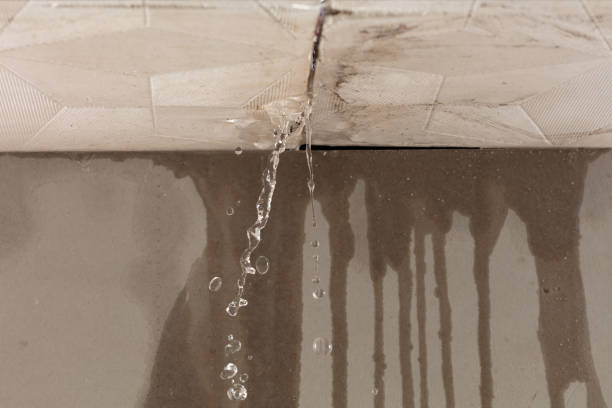 Professional Flood Damage Cleanup technician working in Roslyn, NY